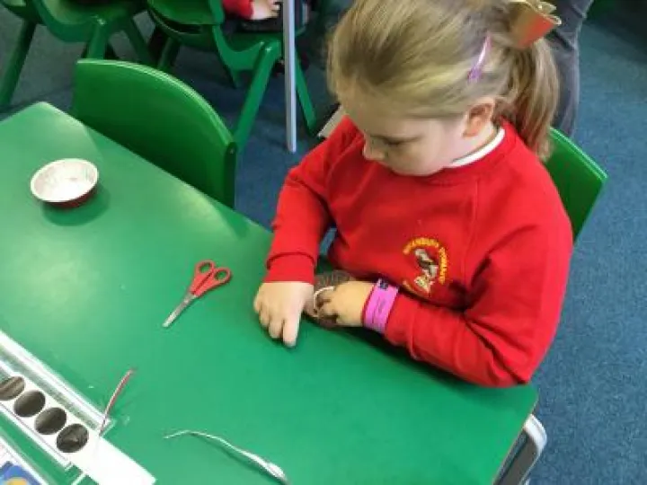 Image: 271D9DD3-A3BB-46B3-B394-50F1C8E05D89