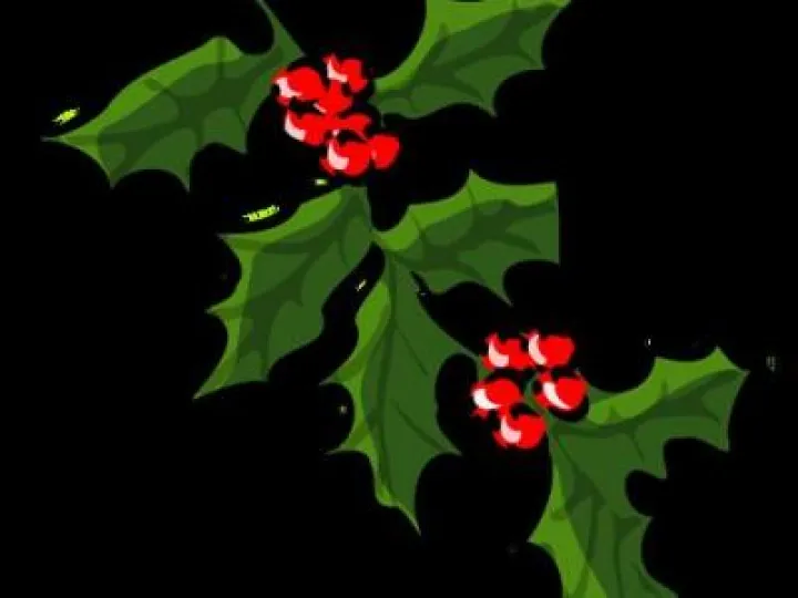 holly