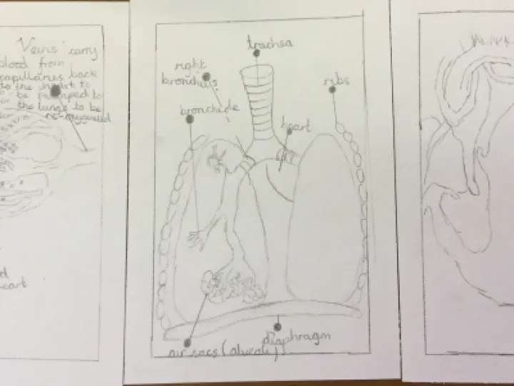 Image: 5DAF00EB-06E7-4A93-9945-EC3AE7AE98BC