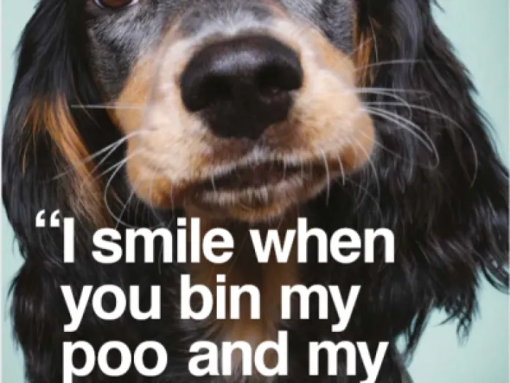 Do it for your dog Sarah