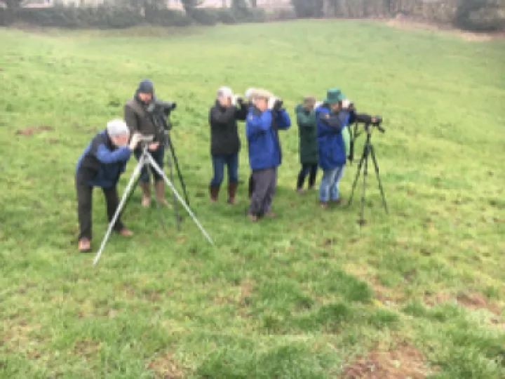 AWEG after Peewee Flycatcher