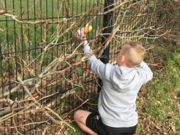 Image: 4CAA4654-7CD9-4A81-96E7-EDFDAE51C8D8