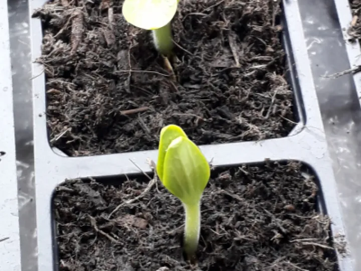 Image: 20200331_105339