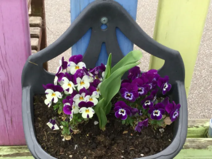 Image: 75B2C8D2-646C-4EC2-895A-700302AC0FD1