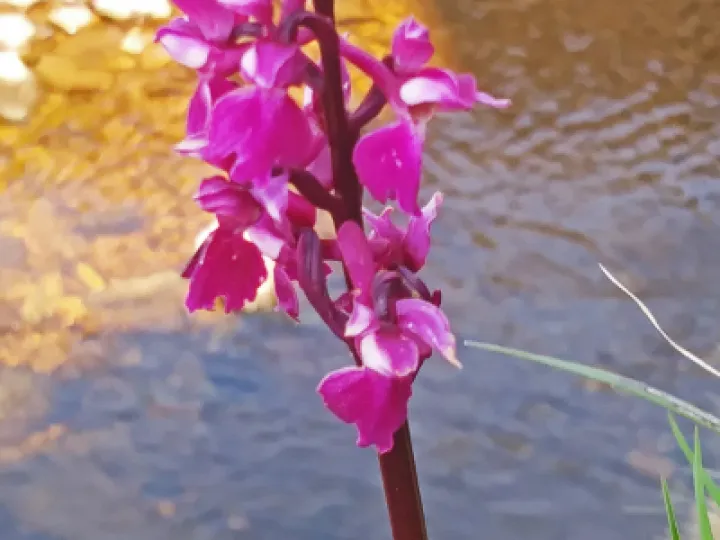 Image: 20190515_105632