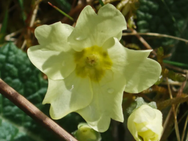 P7061700