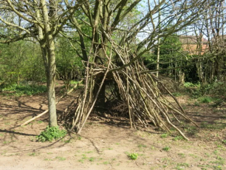 Woodland Walk (3)Img_7831