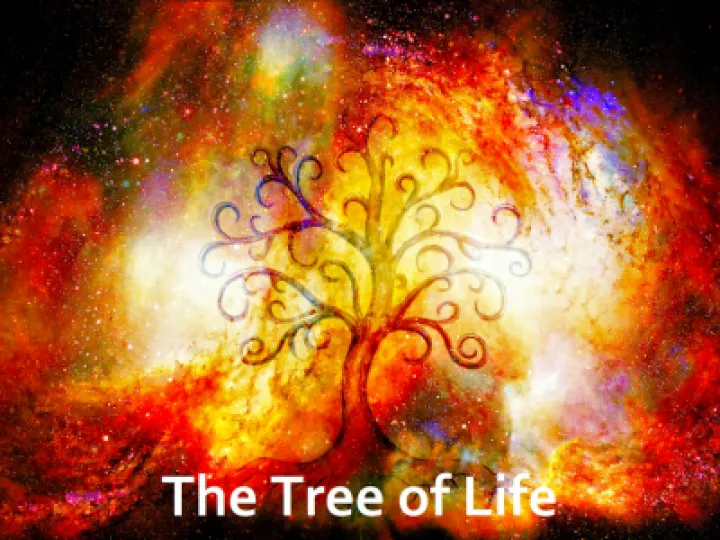Tree of Life 01
