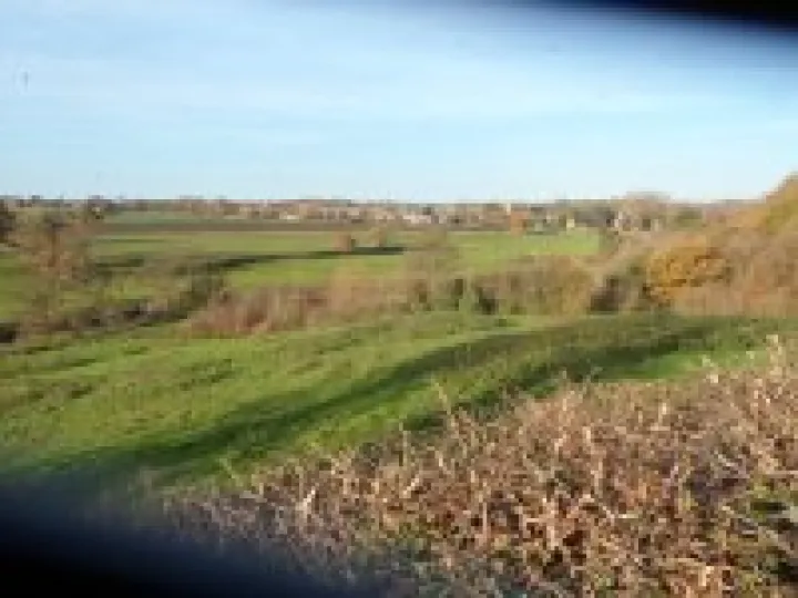 Litter Picking 2013 (2)