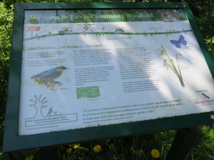 Woodland Walk KBImage001 (18)