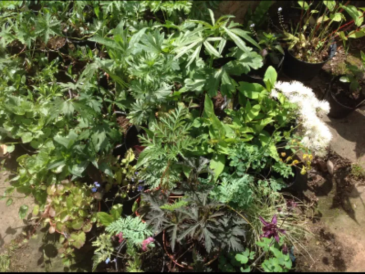 E4FB60B2-8033-4480-A0FA-1A377959B0CF