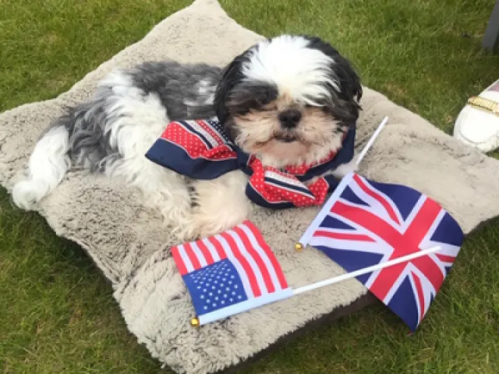 GiffordLea_F4273e3f a7a7 4fdd 92e3 9bdec8c1bb76