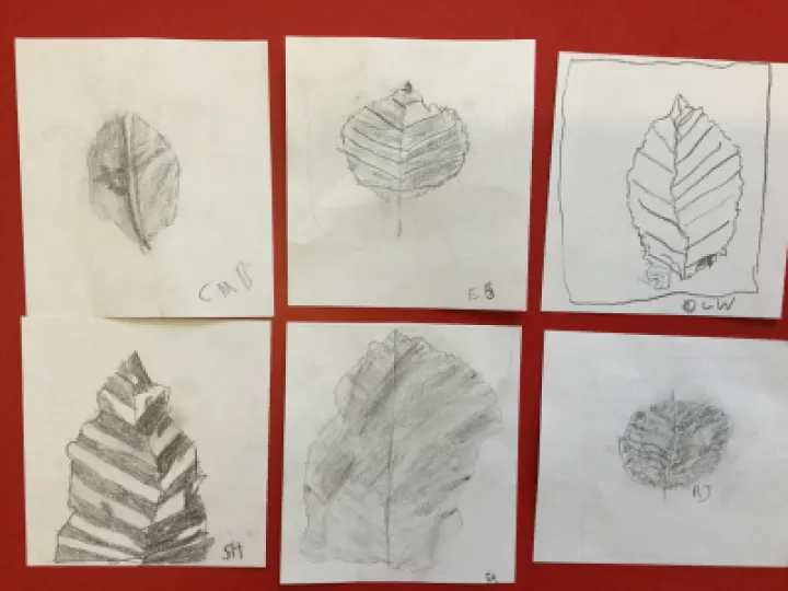 CD3D6B3F-8113-40BC-896F-8E60802041BA