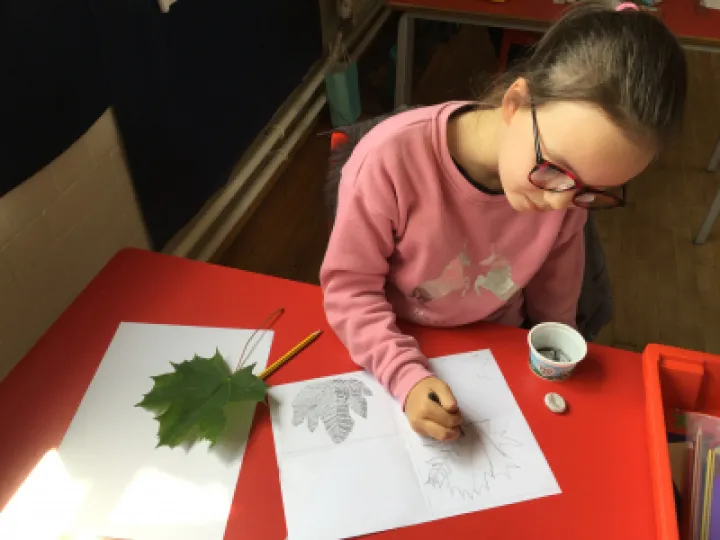 Image: 4CCA2DFD-5624-4212-8C6D-A2584F0BC207