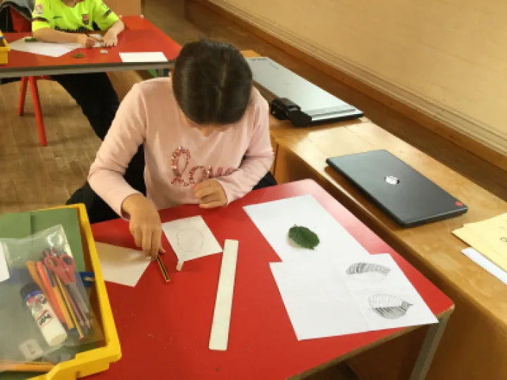 Image: 3D499A8D-B44E-4C66-AD99-519AA4F7CCAF