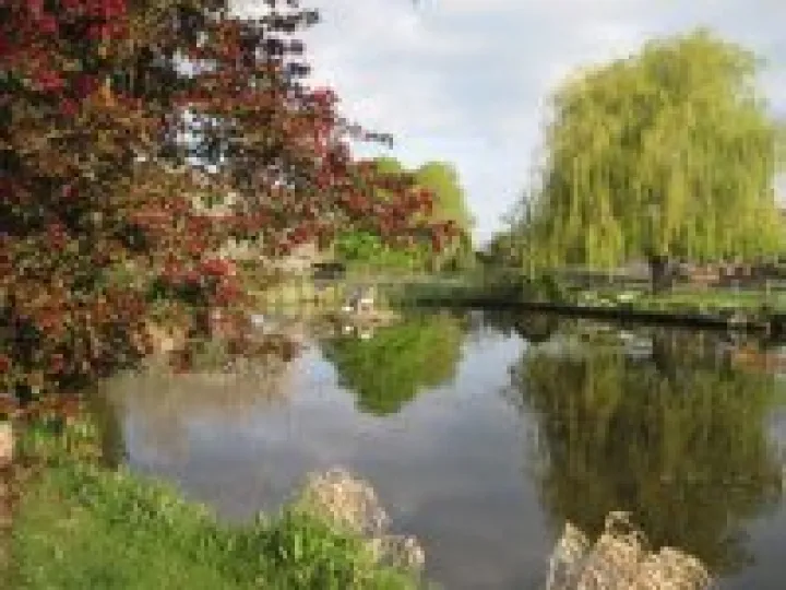 Hankelow Green – April 2011