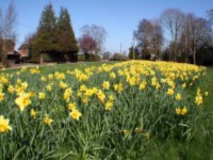 Little Heath, March 2012