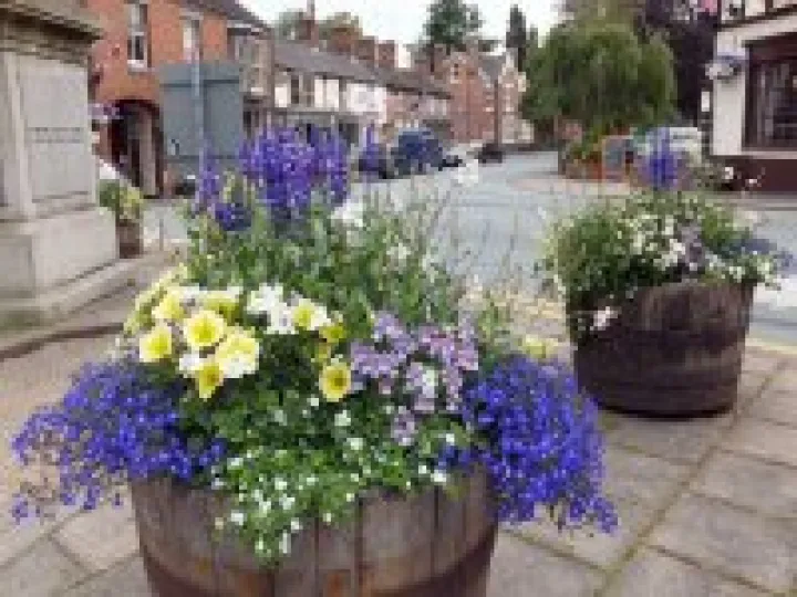 Audlem in Bloom 2014