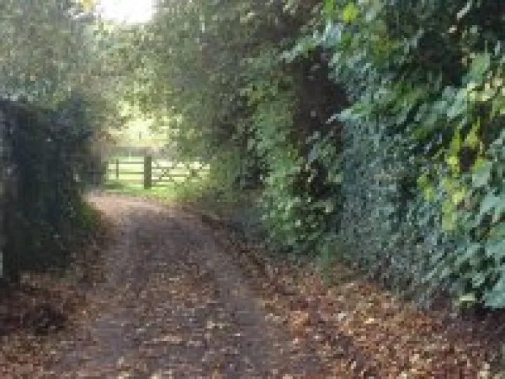 Vicarage Lane