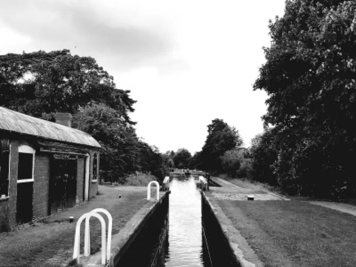 Summer Canal Scene