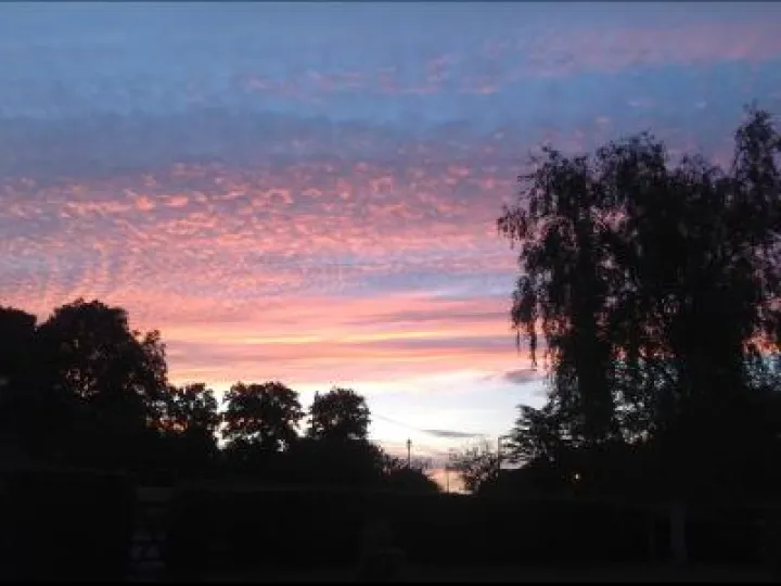 june-sunset-kath-disley