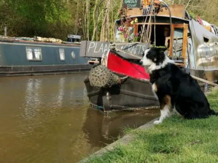 Canal Scenes