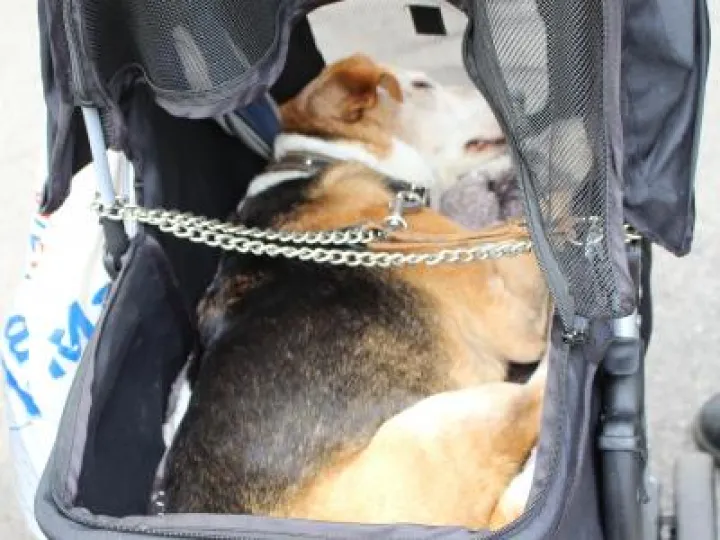 2019 Music and Arts Festival