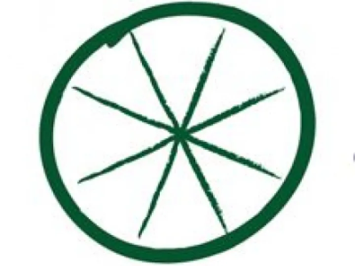 Bike Wheel