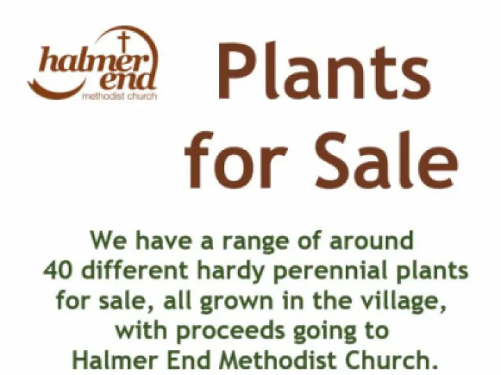 Plants for Sale v3