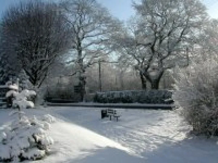 Winter scene