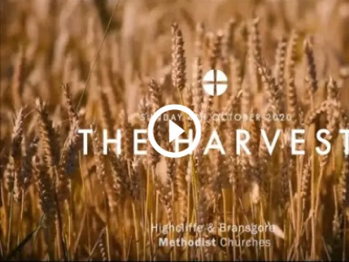 Harvest Fest