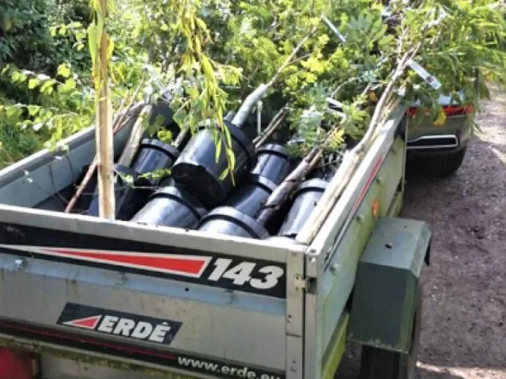 Transporting the trees – Sept 2020