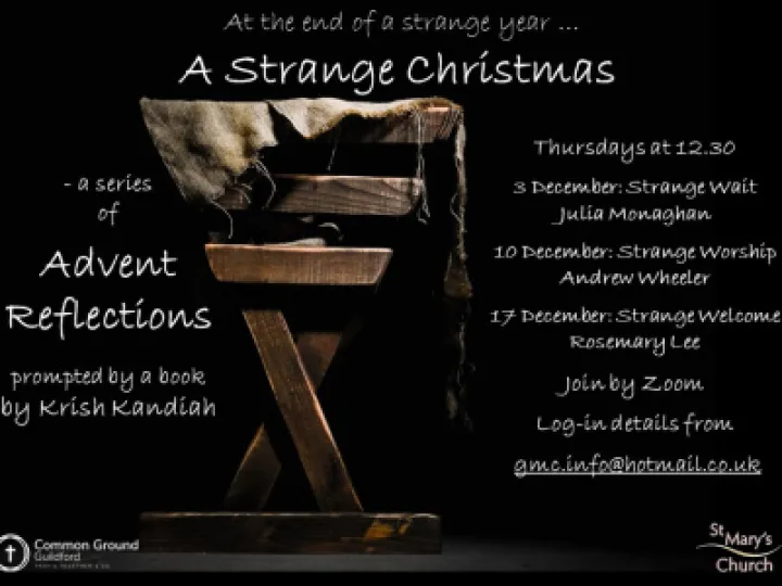 A Strange Year Poster 2020 (004)