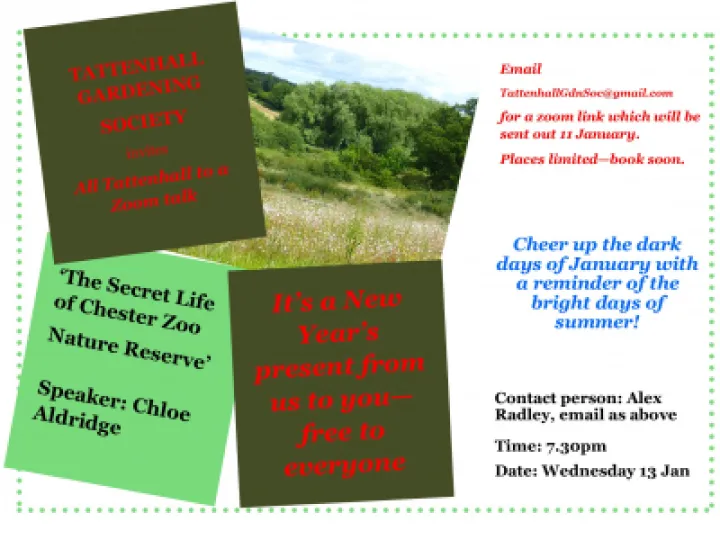 Image: 70B68A8F-A826-433B-A15D-87F242EB63E0