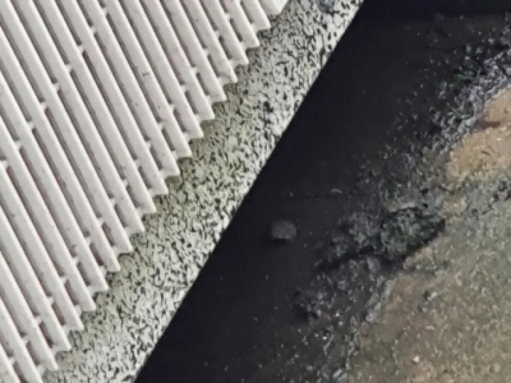Roy Plume Drainage