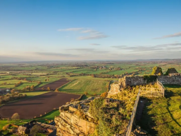 Image: 165183466_5469530296420360_5509860119714324001_o