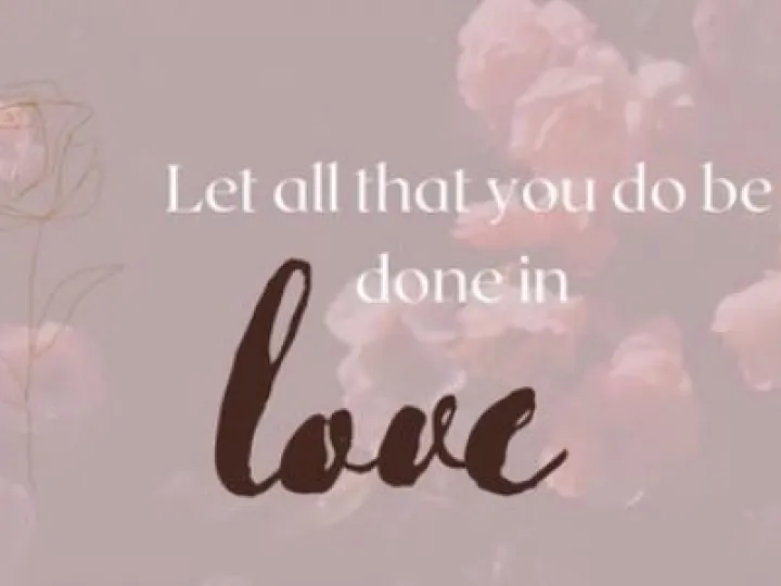 Hope and Millie 28-03-2021