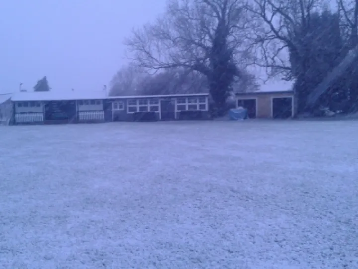 cricket snow