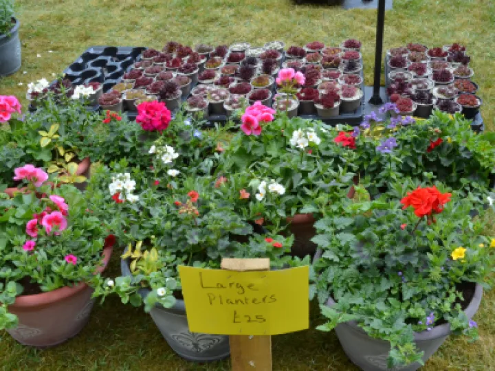PlantSale2022 05 01 22