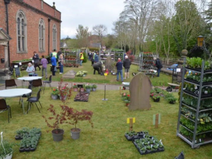 PlantSale2022 05 01 32