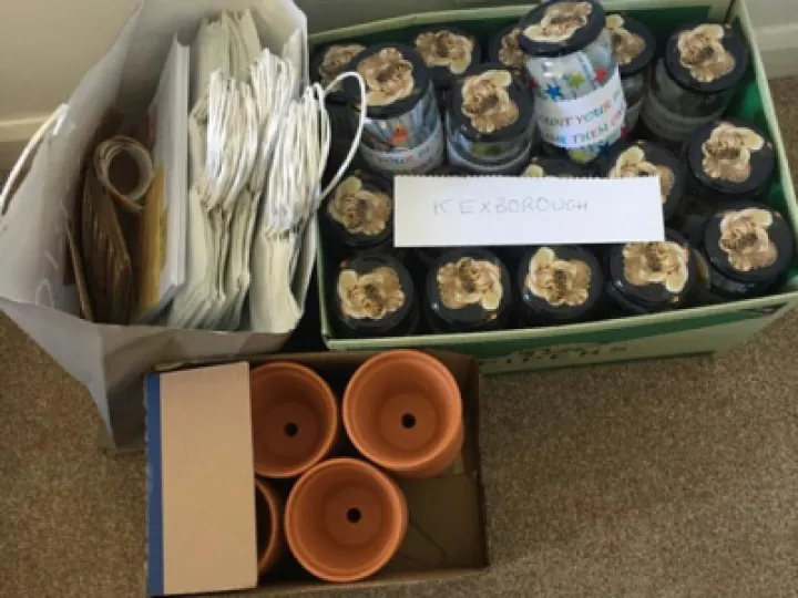 Count Your Blessings  &ndash; 3