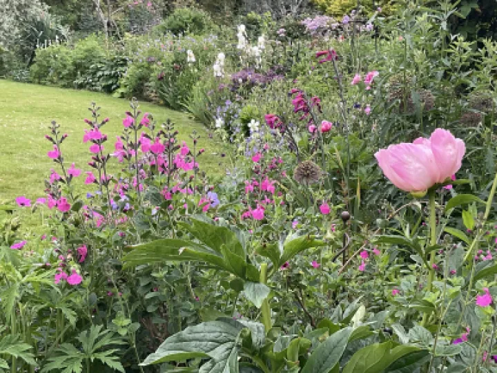 Image: 67D93F81-6373-4227-B733-726ED4A4ED55