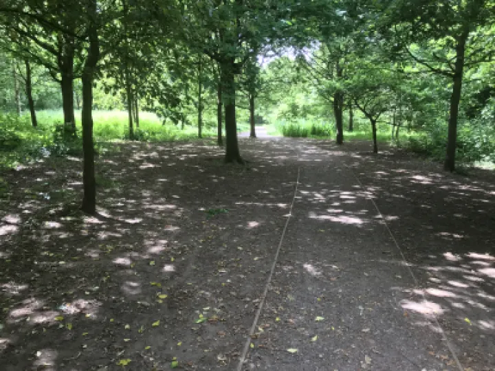 Tarvin Woodlands, Broomheath end