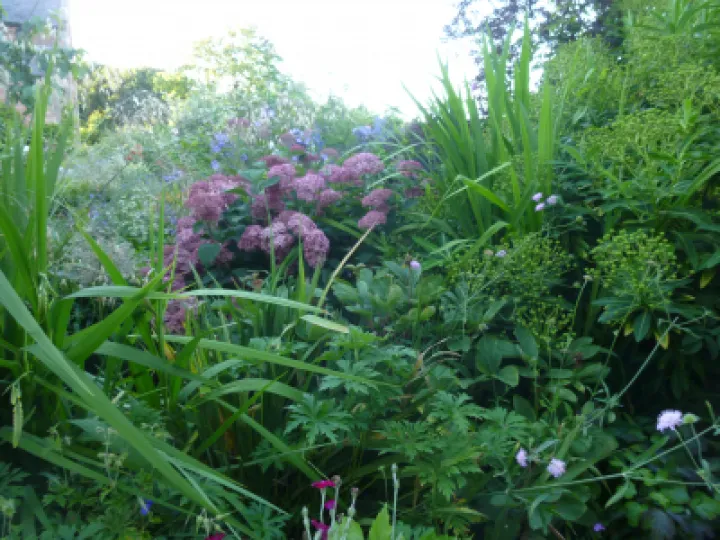 AHFC Ganden July 2021 P1040025[316708]
