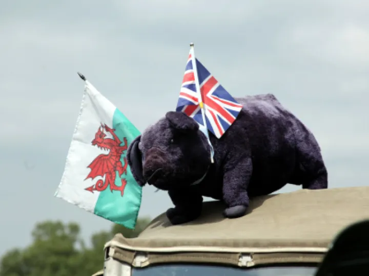 Transport Festival 2021