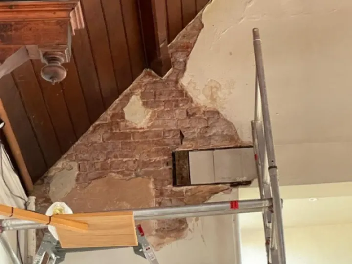 Plaster Repair