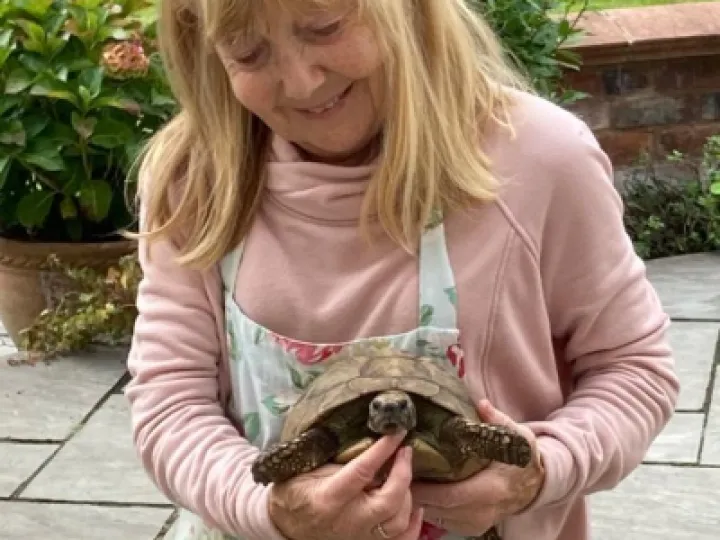 Image: 0199ff78-b6da-474b-bf52-485a63aff839