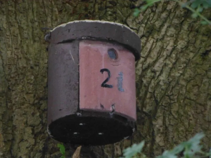 Woodcrete Bird Box