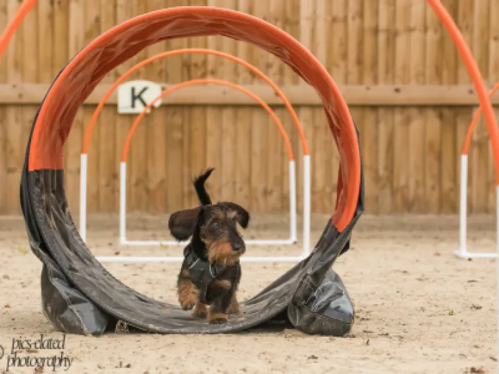 Sidney running through a tunnel