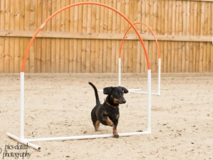Wilhelm running the course